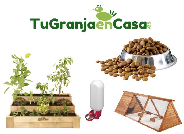 caso de éxito ágora y prestashop
